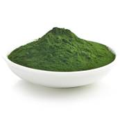 Chlorella Poudre