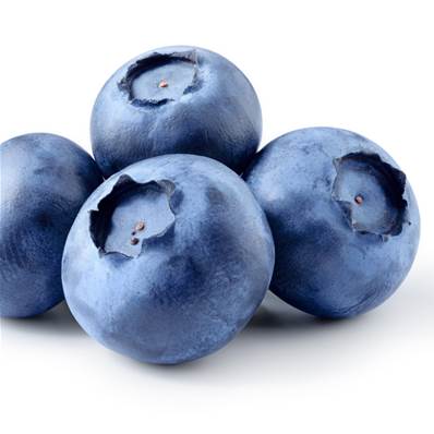 Myrtille Fruit Pulpe Poudre 300µm