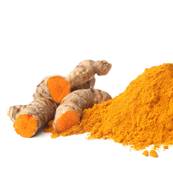 BIO Curcuma Rhizome Poudre 300m Dbactrise 5% Curcumine
