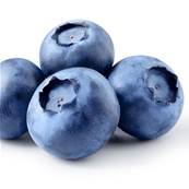 Myrtille Fruit Pulpe Poudre 300µm