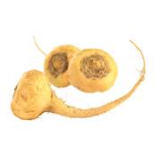 BIO Maca Tuber Extrait Sec 11/1