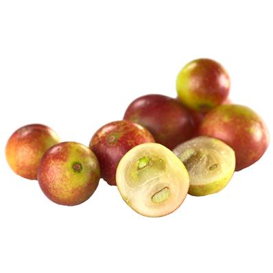 BIO Camu Camu Fruit Poudre
