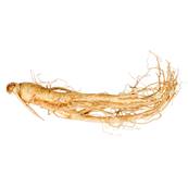 BIO Ginseng Blanc Racine Extrait Sec 6-8% Ginsénosides