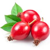 BIO Eglantier Fruit Entier