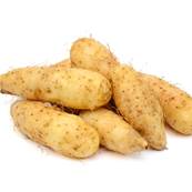 Yam Racine Extrait Sec 16% Diosgnine