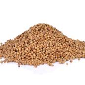 Coriandre Graine Poudre 300m Dbactrise