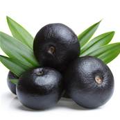 BIO Acai Fruit Extrait Sec 1/1