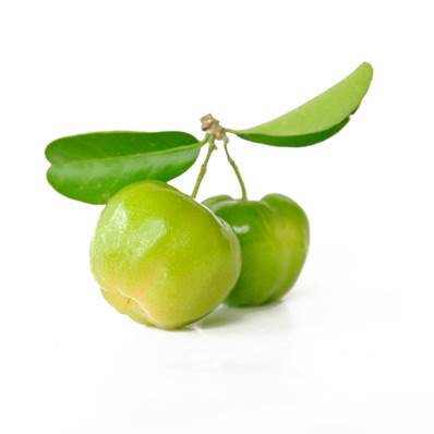 BIO Acérola Fruit Extrait Sec 17% Vitamine C 