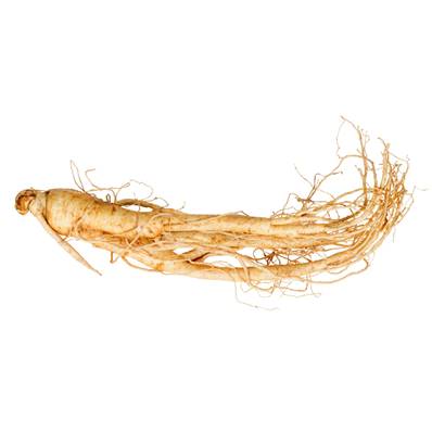 BIO Ginseng Blanc Racine Extrait Sec 6-8% Ginsénosides