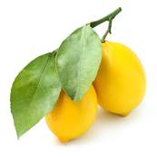 Citron Feuille Extrait Sec TGE