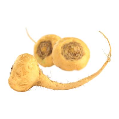 BIO Maca Tuber Poudre 300µm 