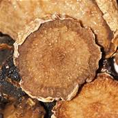 BIO Fair For Life Harpagophytum Racine Chips