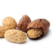Cola Noix Broye