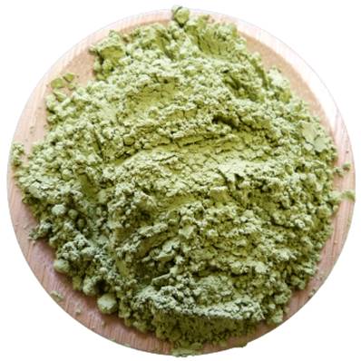 BIO Matcha Feuille Poudre (Japon)