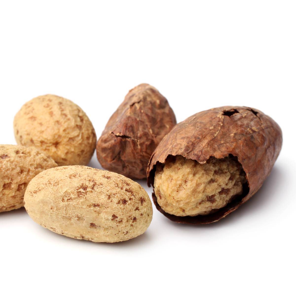 Cola Noix Extrait Sec 4/1 10 Caféine Cola Nitida Schott & Endl. Cola Noix Extrait Sec 4/1 10 Caféine Cola Nitida Schott & Endl.