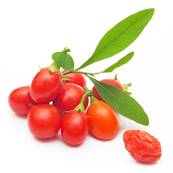 Goji Fruit Poudre