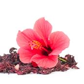 Hibiscus Fleur Poudre Extrait CWS