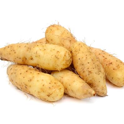 Yam Racine Extrait Sec 16% Diosgénine