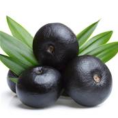 BIO Acai Fruit Poudre Lyophilisée