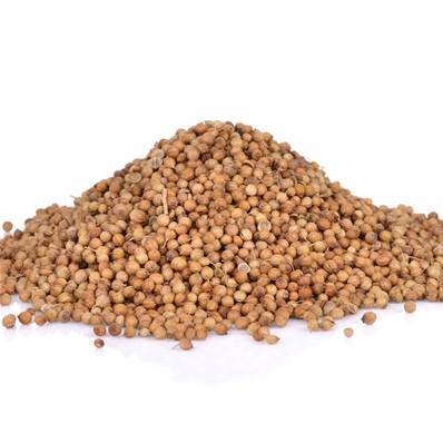 Coriandre Graine Poudre 300µm Débactérisée