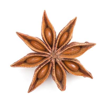 BIO Badiane Fruit Concassé