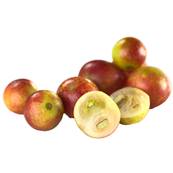 BIO Camu Camu Fruit Poudre