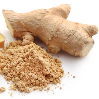 Gingembre rhizome poudre extrait 4/1