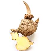 Konjac Rhizome ES 90% Glucomannan